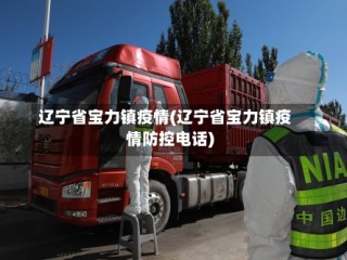 辽宁省宝力镇疫情(辽宁省宝力镇疫情防控电话)