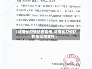 【湖南省疫情防控指示,湖南省疫情防控指挥部文件】