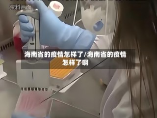 海南省的疫情怎样了/海南省的疫情怎样了啊