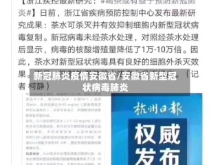 新冠肺炎疫情安徽省/安徽省新型冠状病毒肺炎