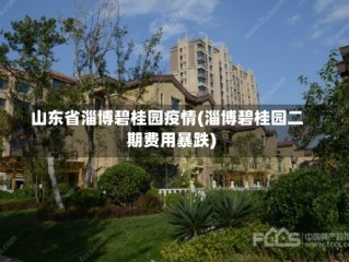 山东省淄博碧桂园疫情(淄博碧桂园二期费用暴跌)