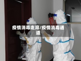 疫情消毒走廊/疫情消毒通道