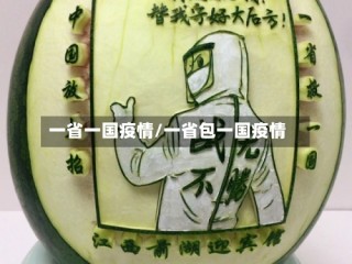 一省一国疫情/一省包一国疫情