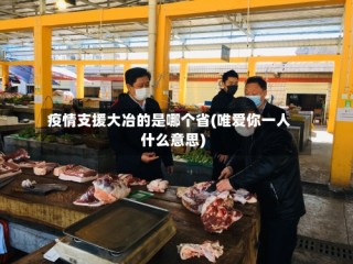 疫情支援大冶的是哪个省(唯爱你一人什么意思)
