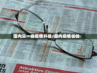 国内又一省疫情升级/国内疫情省份