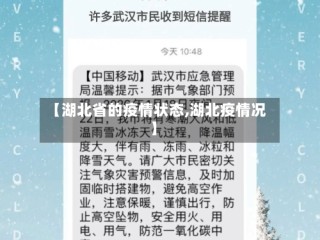 【湖北省的疫情状态,湖北疫情况】