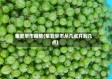 集安早市疫情(集安早市从几点开到几点)