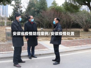 安徽省疫情防控案例/安徽疫情处置