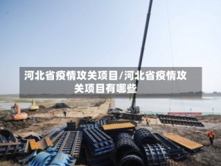 河北省疫情攻关项目/河北省疫情攻关项目有哪些