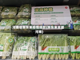 河南省胖东来疫情捐款(胖东来支援河南)