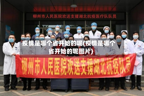 疫情是哪个省开始的呢(疫情是哪个省开始的呢图片)-第2张图片