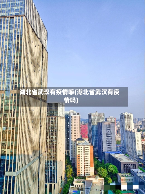 湖北省武汉有疫情嘛(湖北省武汉有疫情吗)-第1张图片