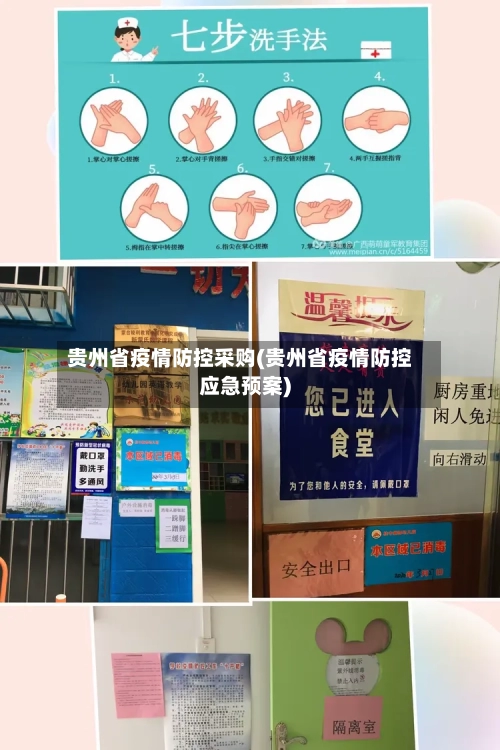 贵州省疫情防控采购(贵州省疫情防控应急预案)-第1张图片