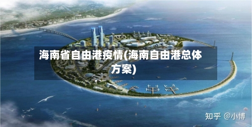 海南省自由港疫情(海南自由港总体方案)-第3张图片