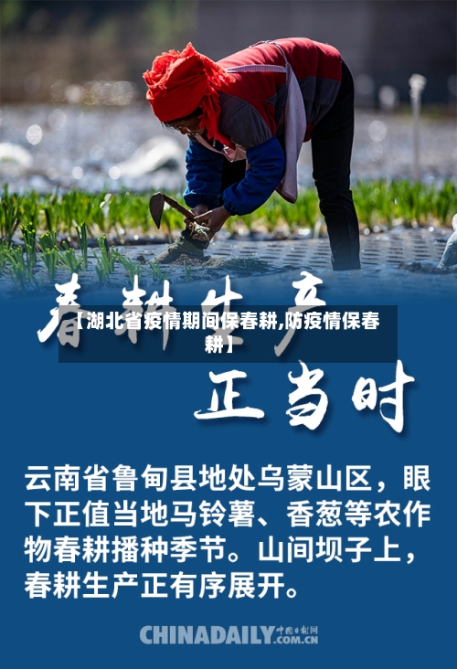 【湖北省疫情期间保春耕,防疫情保春耕】-第2张图片