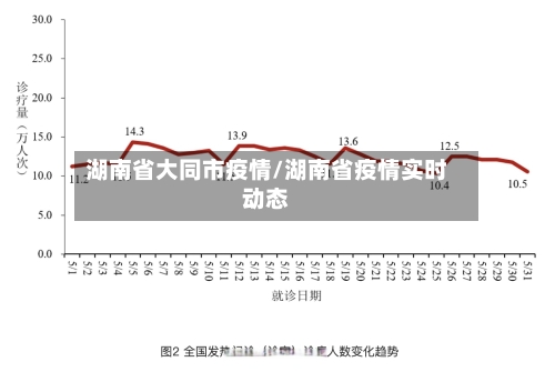 湖南省大同市疫情/湖南省疫情实时动态-第2张图片