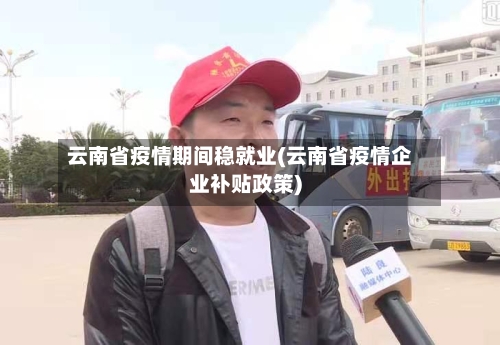 云南省疫情期间稳就业(云南省疫情企业补贴政策)-第1张图片