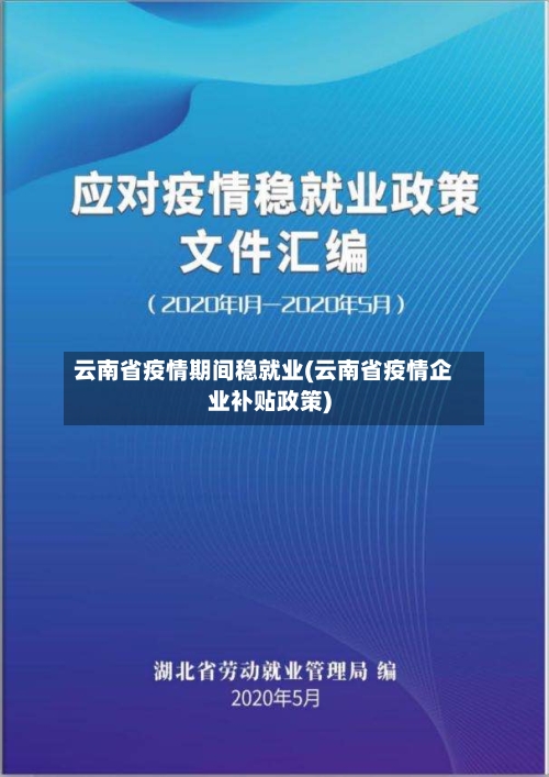 云南省疫情期间稳就业(云南省疫情企业补贴政策)-第2张图片