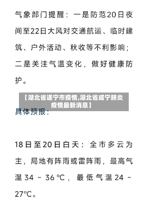【湖北省遂宁市疫情,湖北省咸宁肺炎疫情最新消息】-第2张图片