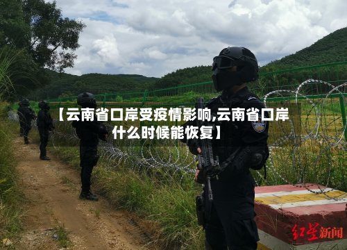 【云南省口岸受疫情影响,云南省口岸什么时候能恢复】-第2张图片