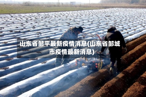 山东省邹平最新疫情消息(山东省邹城市疫情最新消息)-第1张图片
