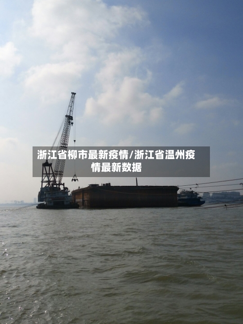 浙江省柳市最新疫情/浙江省温州疫情最新数据-第1张图片
