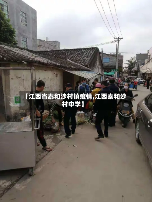 【江西省泰和沙村镇疫情,江西泰和沙村中学】-第3张图片