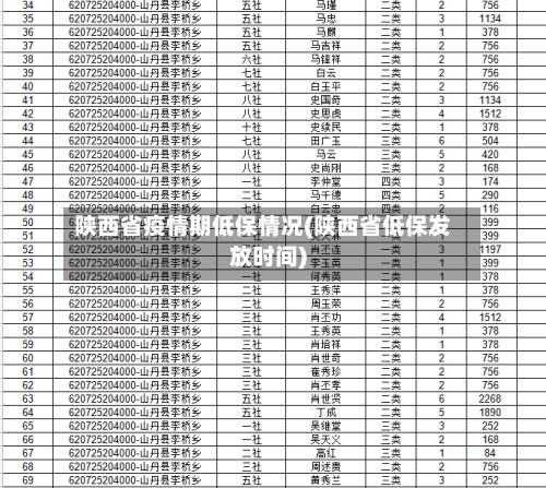 陕西省疫情期低保情况(陕西省低保发放时间)-第3张图片