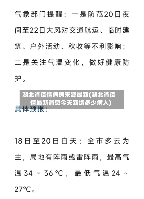 湖北省疫情病例来源最新(湖北省疫情最新消息今天新增多少病人)-第2张图片