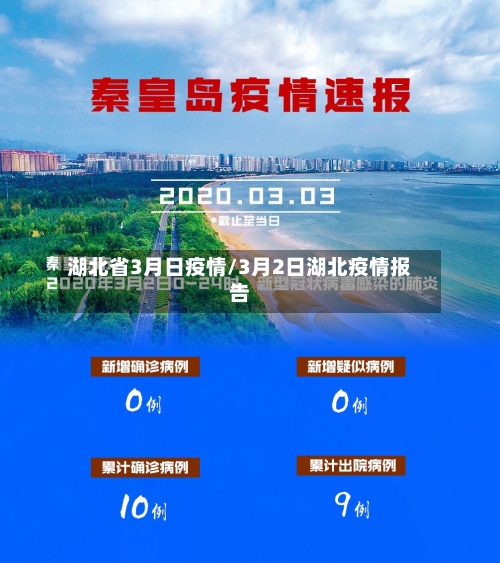 湖北省3月日疫情/3月2日湖北疫情报告-第3张图片