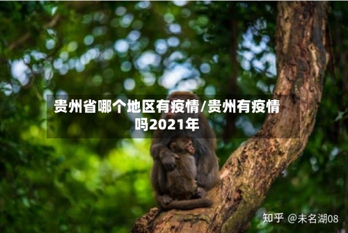 贵州省哪个地区有疫情/贵州有疫情吗2021年-第2张图片