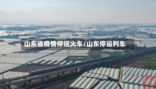 山东省疫情停运火车/山东停运列车-第3张图片