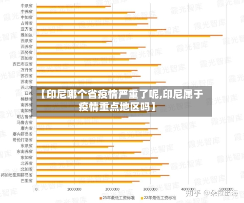 【印尼哪个省疫情严重了呢,印尼属于疫情重点地区吗】-第1张图片