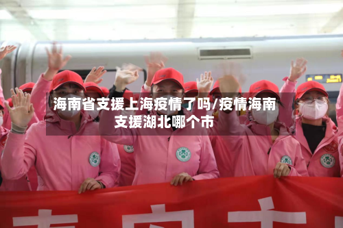 海南省支援上海疫情了吗/疫情海南支援湖北哪个市-第2张图片
