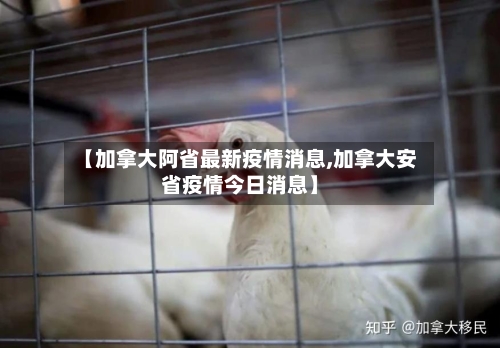 【加拿大阿省最新疫情消息,加拿大安省疫情今日消息】-第3张图片