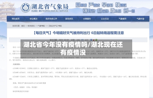湖北省今年没有疫情吗/湖北现在还有疫情没-第2张图片