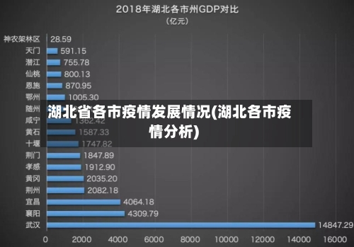 湖北省各市疫情发展情况(湖北各市疫情分析)-第3张图片