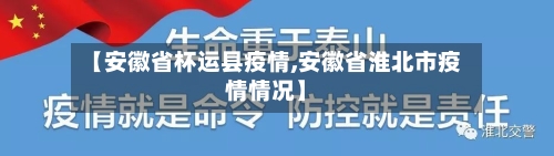 【安徽省杯运县疫情,安徽省淮北市疫情情况】-第2张图片