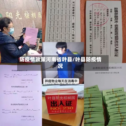 防疫情政策河南省叶县/叶县防疫情况-第1张图片
