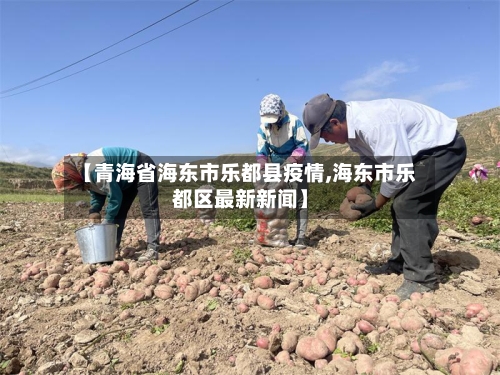 【青海省海东市乐都县疫情,海东市乐都区最新新闻】-第1张图片