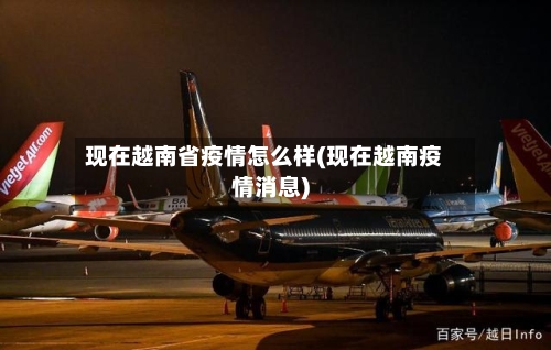 现在越南省疫情怎么样(现在越南疫情消息)-第1张图片