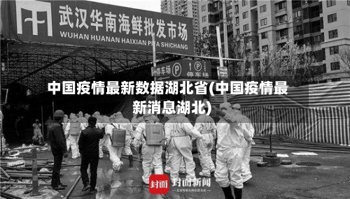 中国疫情最新数据湖北省(中国疫情最新消息湖北)-第3张图片