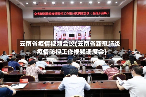 云南省疫情视频会议(云南省新冠肺炎疫情防控工作视频调度会)-第1张图片