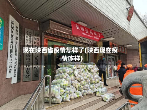现在陕西省疫情怎样了(陕西现在疫情咋样)-第3张图片