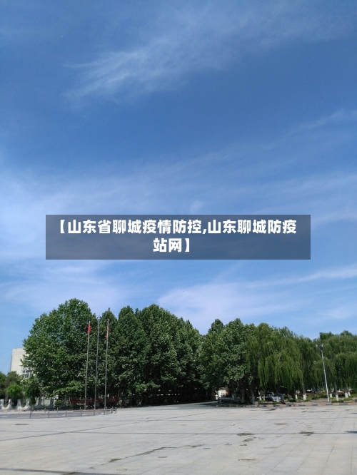 【山东省聊城疫情防控,山东聊城防疫站网】-第3张图片