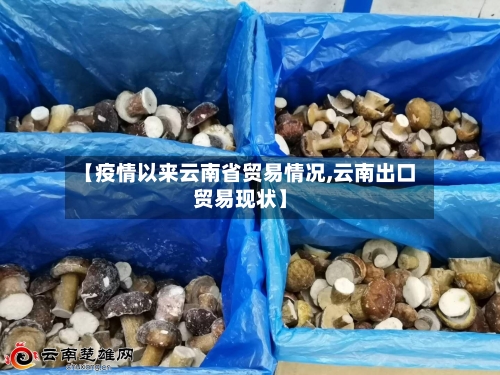 【疫情以来云南省贸易情况,云南出口贸易现状】-第2张图片