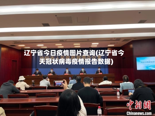辽宁省今日疫情图片查询(辽宁省今天冠状病毒疫情报告数据)-第2张图片