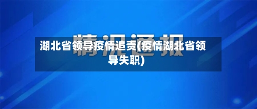 湖北省领导疫情追责(疫情湖北省领导失职)-第1张图片