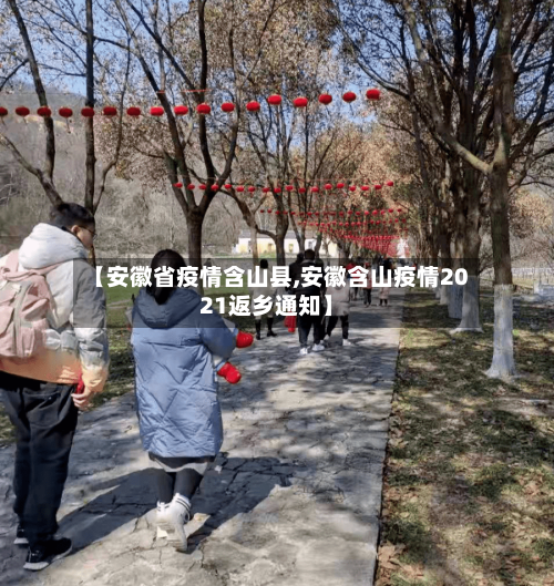 【安徽省疫情含山县,安徽含山疫情2021返乡通知】-第3张图片