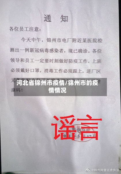 河北省锦州市疫情/锦州市的疫情情况-第1张图片